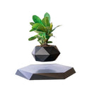 LeviPlant - Vaso Magnético Bonsai [ULTIMAS UNIDADES] - HOMEFY