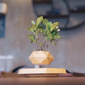 LeviPlant - Vaso Magnético Bonsai [ULTIMAS UNIDADES] - HOMEFY