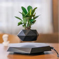 LeviPlant - Vaso Magnético Bonsai [ULTIMAS UNIDADES] - HOMEFY
