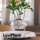 LeviPlant - Vaso Magnético Bonsai [ULTIMAS UNIDADES] - HOMEFY
