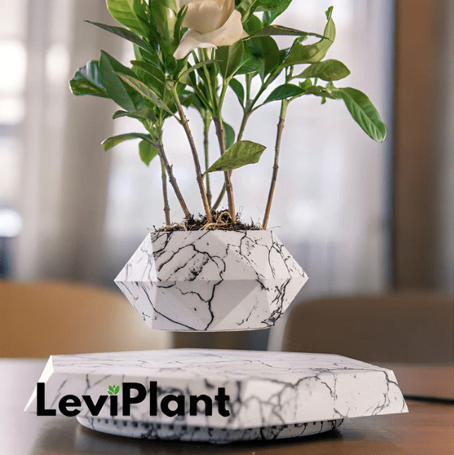 LeviPlant - Vaso Magnético Bonsai [ULTIMAS UNIDADES] - HOMEFY