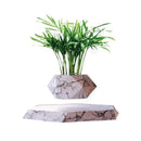 LeviPlant - Vaso Magnético Bonsai [ULTIMAS UNIDADES] - HOMEFY